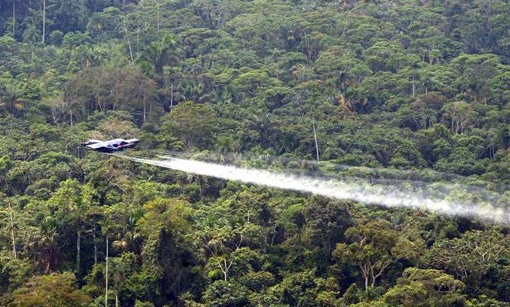 Campaign Against Glyphosate Steps Up in Latin America