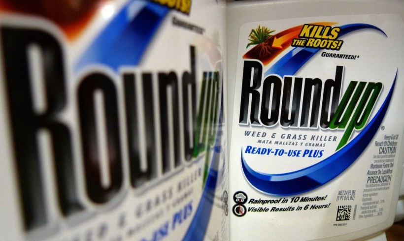 DID YOU EAT ROUNDUP TODAY?