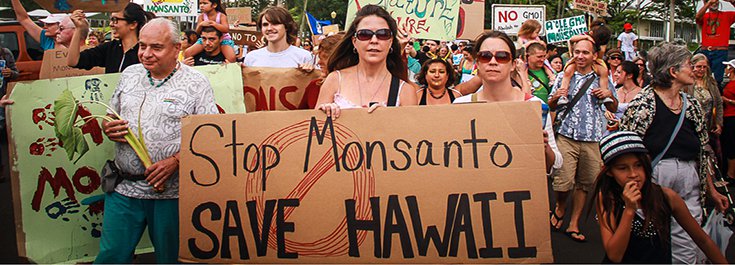 Hawaii Citizens Beat Monsanto, Bypass ‘Right to Spray’ Pesticides Bill