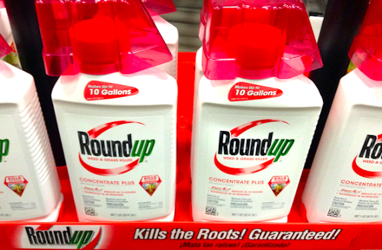 Monsanto CEO Says ‘Roundup Is Not A Carcinogen’ But 94 Scientists From Around the World Disagree