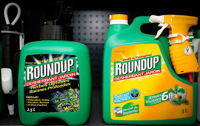 Monsanto’s Roundup weed-killer atomizers for sale at a garden shop at Bonneuil-Sur-Marne, near Paris, on June 16. (Photo: Charles Platiau/Reuters)