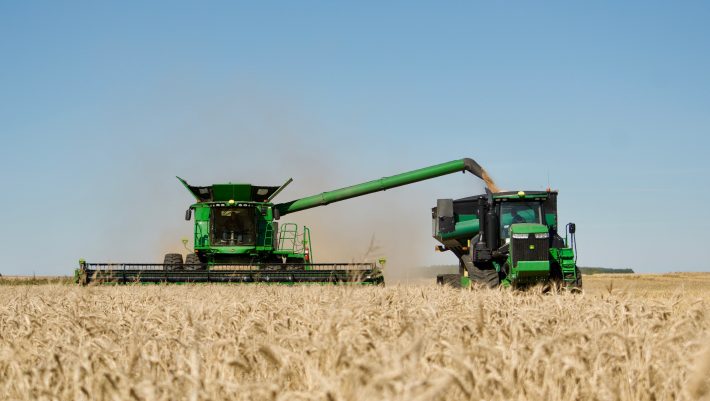 The Future of Wheat Farming is Glyphosate Residue Free – Exclusive Interview with Axis Farms