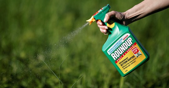 U.S. sides with Bayer in appeal of Roundup cancer lawsuit
