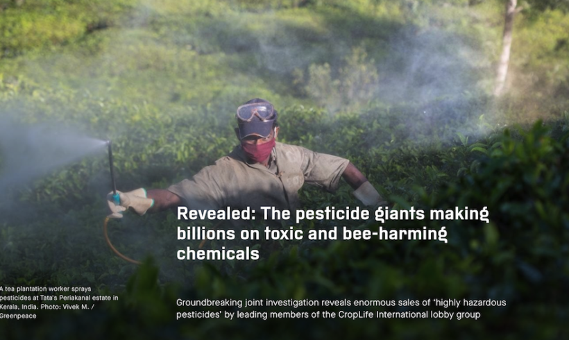 Revealed: The pesticide giants making billions on toxic and bee-harming chemicals