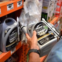 ‘Reckoning for Roundup Rolls On’: Ninth Circuit Court Upholds Verdict in Case Against Monsanto