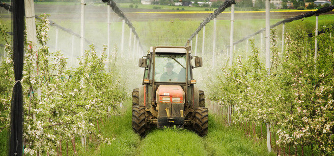 How Europe’s Regulation of Pesticides Could Impact Your Food