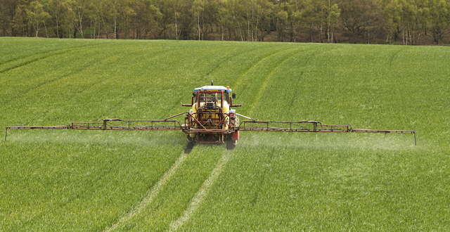 Brazil’s Public Prosecutor Requests Ban on Glyphosate Following WHO Report