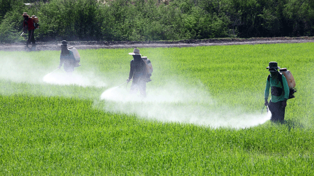 Monsanto Bets $45 Billion on a Pesticide-Soaked Future