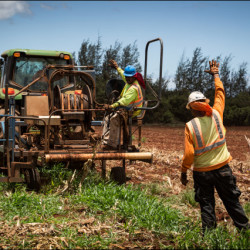 Federal Judge Strikes Down Maui County’s GMO Farming Moratorium