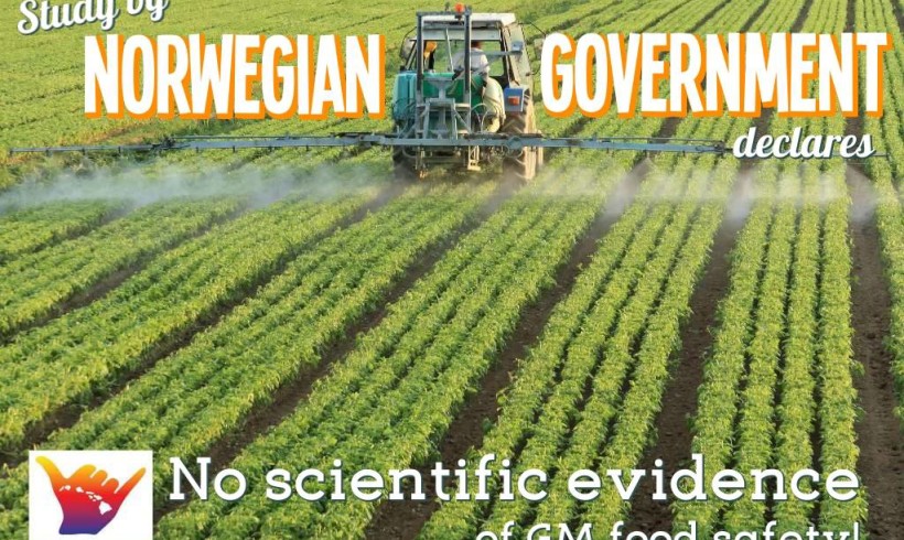 No scientific evidence of GM food safety
