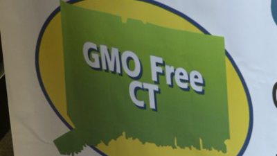 Sen. Blumenthal, consumer activists blasts federal efforts to ban GMO labeling