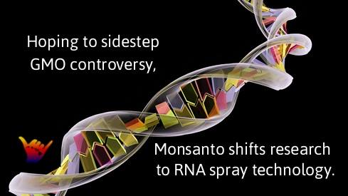 RNA Spray Could Make GMOs Obsolete
