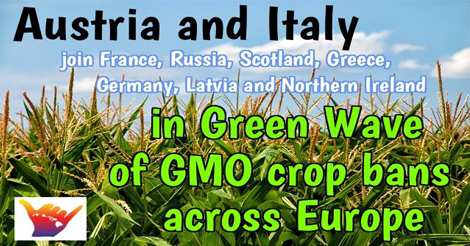 Austria and Italy Celebrate Bans on GM Crops with EU Opt-Out
