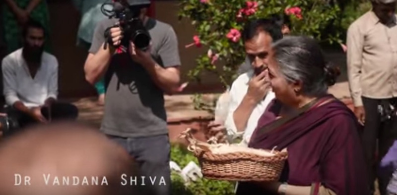 Farmers celebrate the Day of Corn at Navdanya