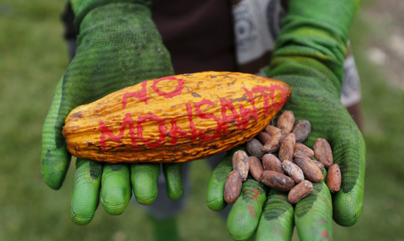 Monsanto, US, & Gates Foundation pressure Kenya to reverse GMO ban