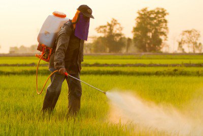 Fifteen Health Problems Linked to Monsanto’s Roundup