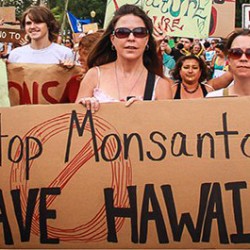 Hawaii Citizens Beat Monsanto, Bypass ‘Right to Spray’ Pesticides Bill
