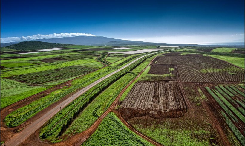 Hawaii’s Trifecta of GMO Cases May Be Heard By Appeals Court In June
