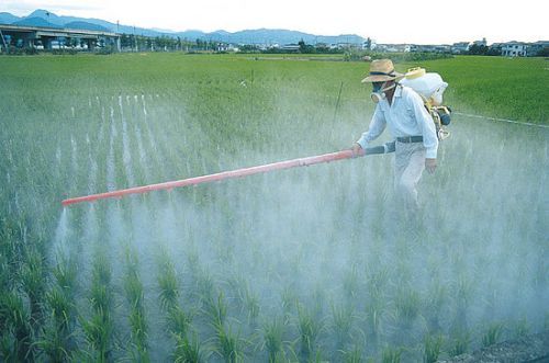 Scientists Seek Ban On Monsanto’s RoundUp