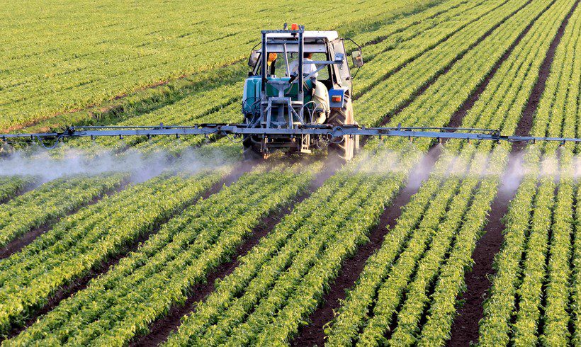 Holding Monsanto Accountable for Growing Public Outcry Over the Dangers of Glyphosate
