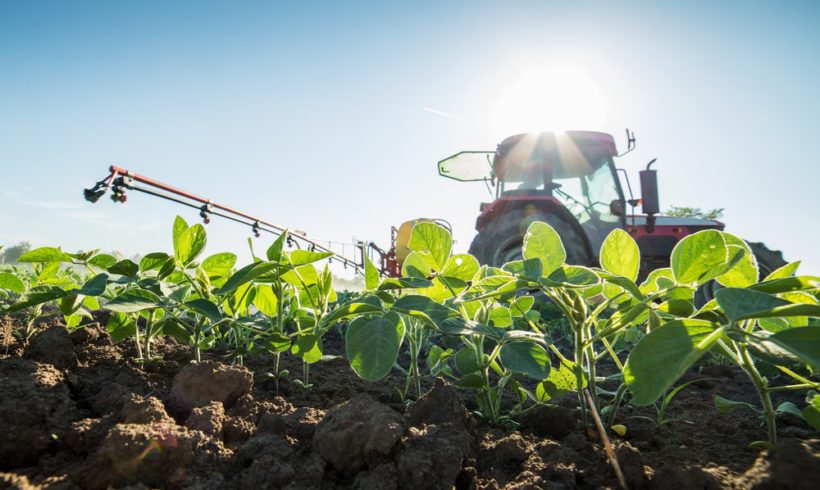 Monsanto’s Panicked Farmers Use Illegal Herbicide to Battle Resistant ‘Superweeds’