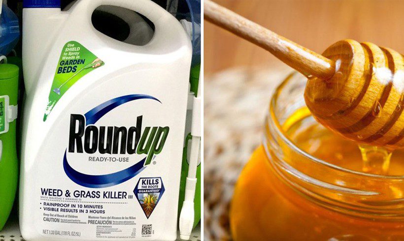 FDA Finds Glyphosate in Honey