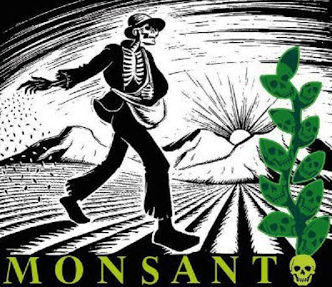 Monsanto in Mexico | Breaking News: Mexican Supreme Court Upholds Lower Court Ban on Transgenic Corn