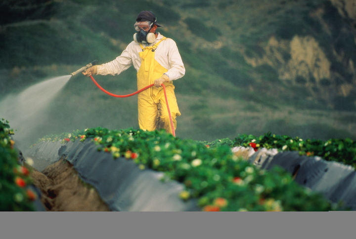 Monsanto Appeal Attempt Fails as California Lists Glyphosate as Known Carcinogen