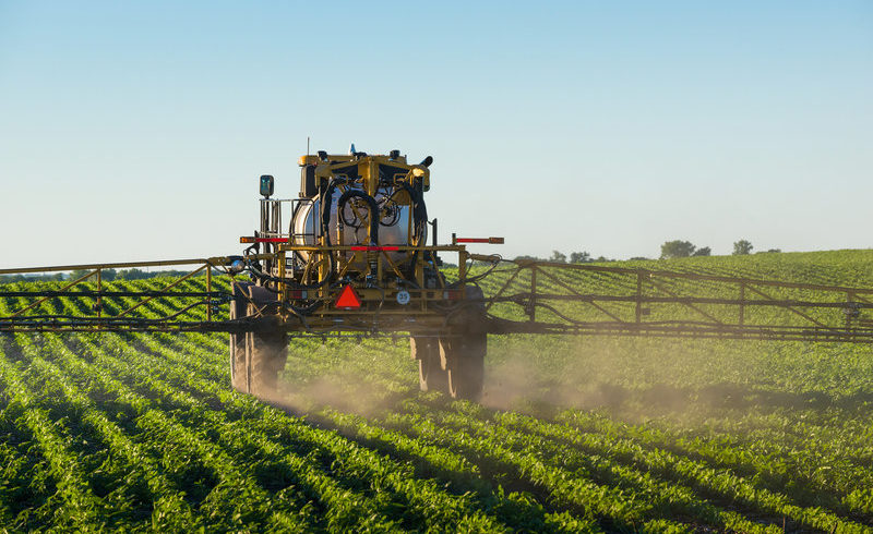 Damage From Wayward Weedkiller Keeps Growing