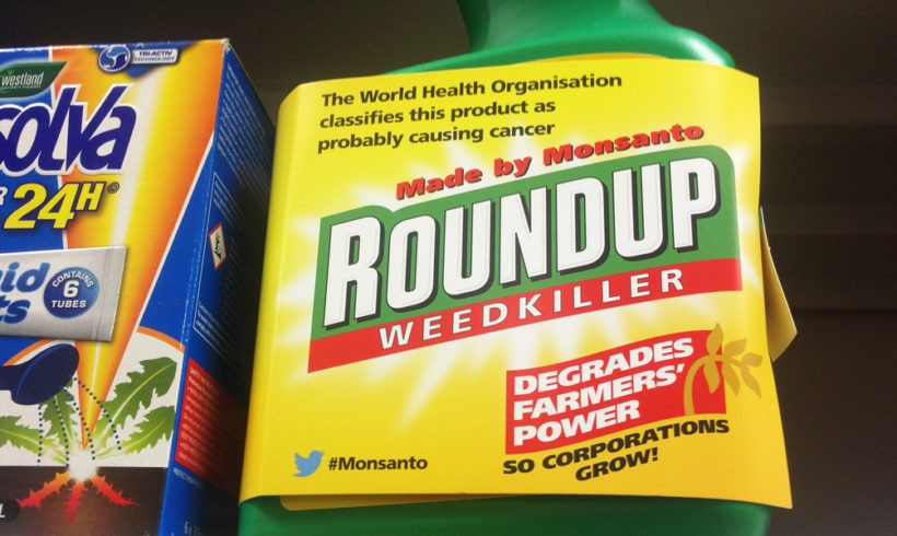 European authorities violated own rules to conclude glyphosate is not carcinogenic