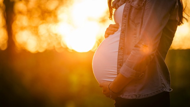 New Study Links Glyphosate to Shortened Pregnancy Lengths in American Women