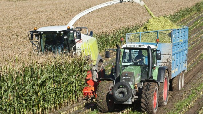 Government Approves Ban on the Cultivation of GMOs in Ireland