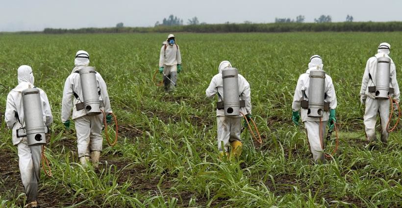 How the Monsanto Papers expose ‘corporate science’ as a fraud