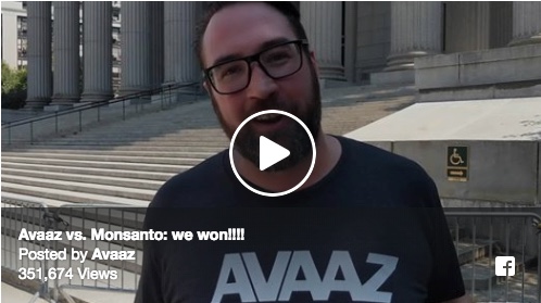 Avaaz