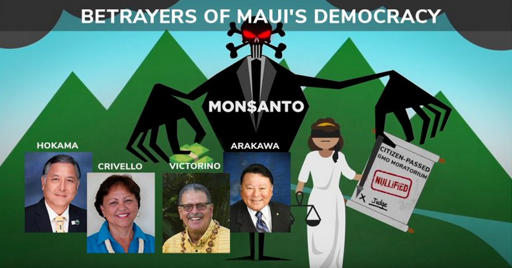 Betrayers of Maui Democracy Ask Voters to Re-Elect Them This November