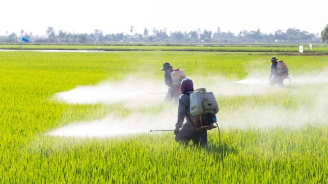 Vietnam Bans Import of Glyphosate Herbicides after US Cancer Trial Verdict