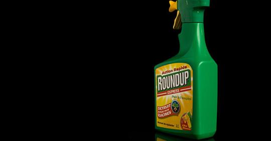 US Jury Punishes Bayer with $81 Million Damages Ruling in Latest Glyphosate Cancer Trial