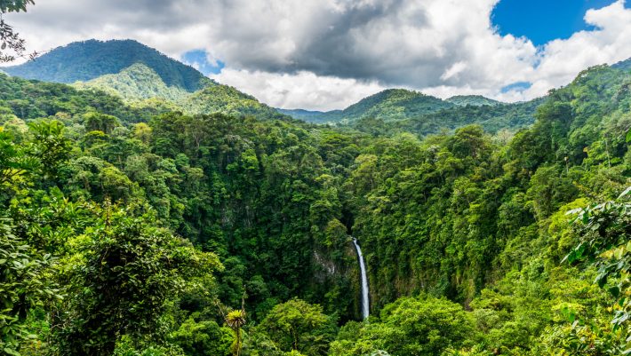 Costa Rica Bans Glyphosate in All Protected Wild Areas