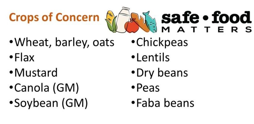 GLYPHOSATE: MAIN CROPS OF CONCERN, AND WHY