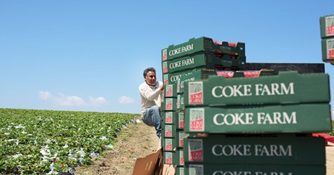 Turning Farm Workers Into Farmers