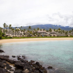 PSP and Trinitas Accused of Greenwashing Hawaiian ESG Investment