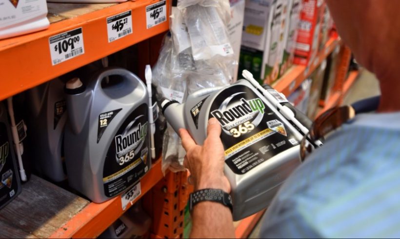 ‘Reckoning for Roundup Rolls On’: Ninth Circuit Court Upholds Verdict in Case Against Monsanto