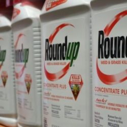 Bayer Confirms End of Sale of Glyphosate-Based Herbicides for US Lawn & Garden Market