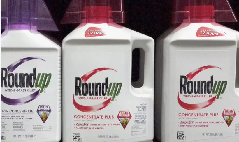 Appeals court upholds $25-million verdict against maker of Roundup